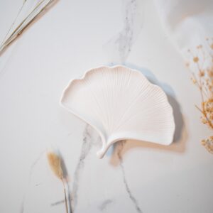 Vassoio foglia di Ginkgo